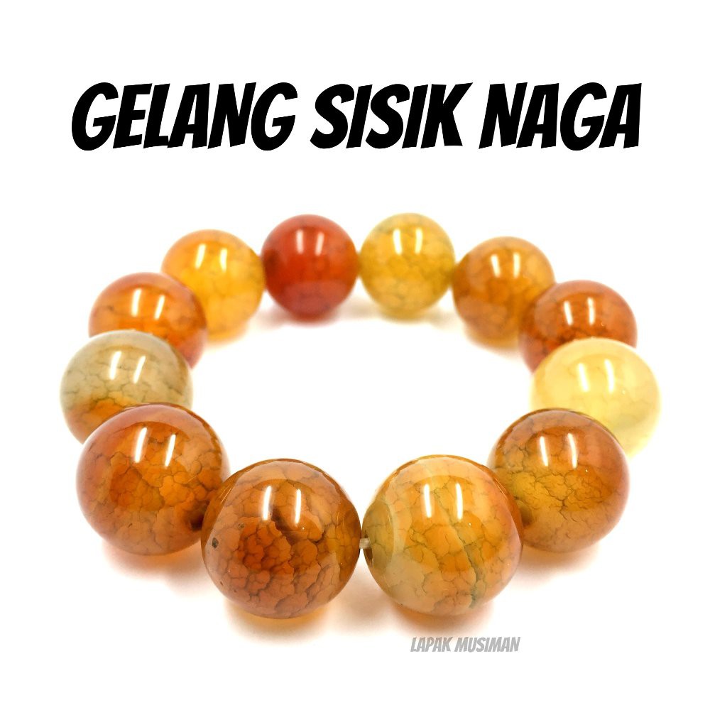 [Bayar di Tempat] GELANG BATU SISIK NAGA ASLI NATURAL 18MM