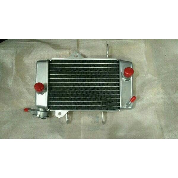 radiator vixion new dan vixion lama