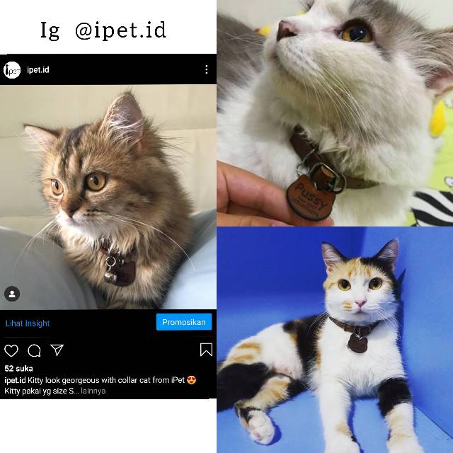 iPet KALUNG KUCING KULIT ASLI CUSTOM NAMA PLUS LONCENG FREE EXTRA BANDUL ANTI