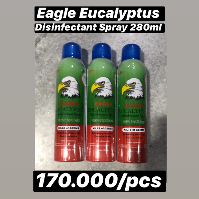 EAGLE EUCALYPTUS SPRAY