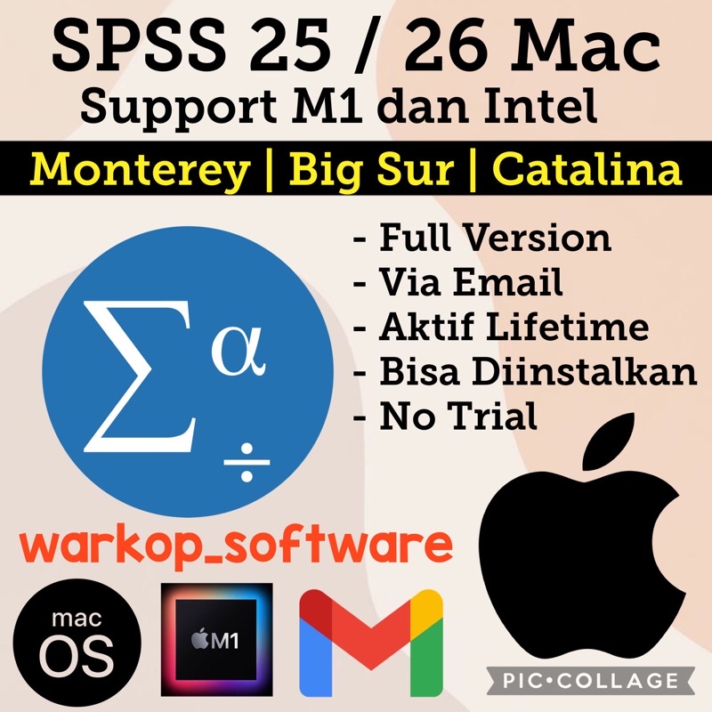 Mac SPSS Statistics 25 / 26 Support M1 Monterey