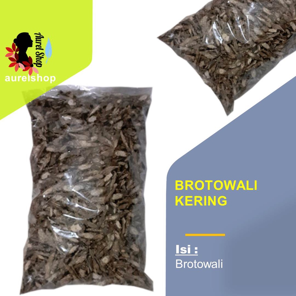 

25 gram Brotowali Kering kemasan Ekonomis