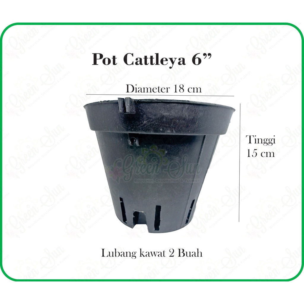 Pot Anggrek Cattleya 6" - Pot Anggrek - Pot Tanaman Hias