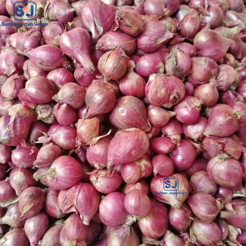 

Bawang Merah 500 gr