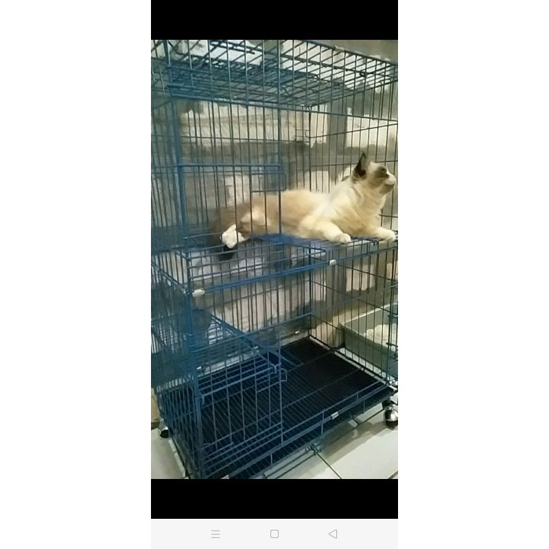 Kandang kucing tingkat 3 besar+roda. Warna hitam. Bahan kuat-Biru