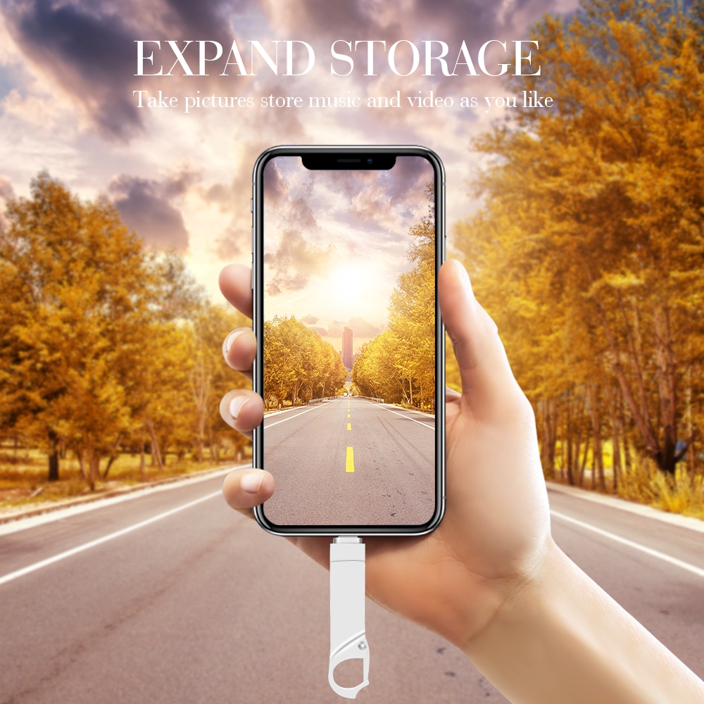 2 in 1 OTG USB Flash Drive USB2.0 512GB Pendrive for iPhone/iPad/IOS/Android/PC