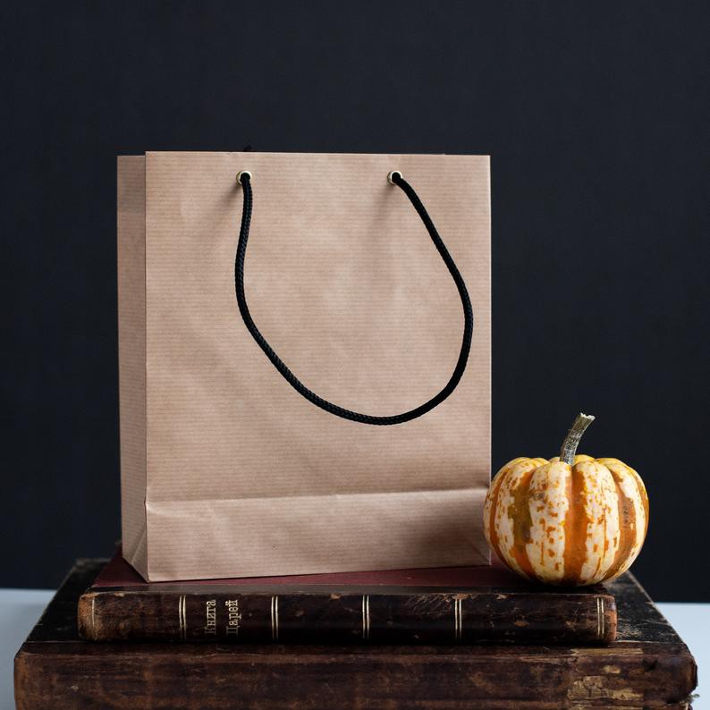 

Paper Bag Kado Coklat Polos Besar 28x9x20cm Paper Bag Souvenir Packing Olshop Packaging Murah A4