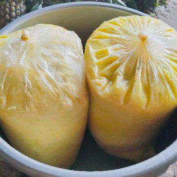 

nanas palembang sudah giling/parut 5kg