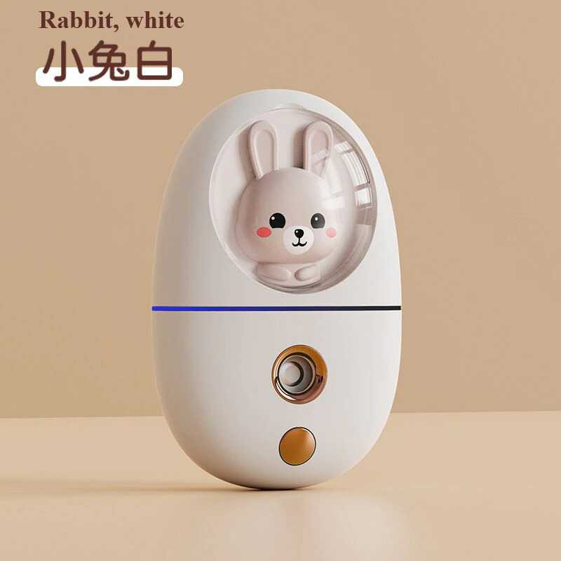 Humidifier Nano Mist Sprayer Facial Steamer 35ml - Q801