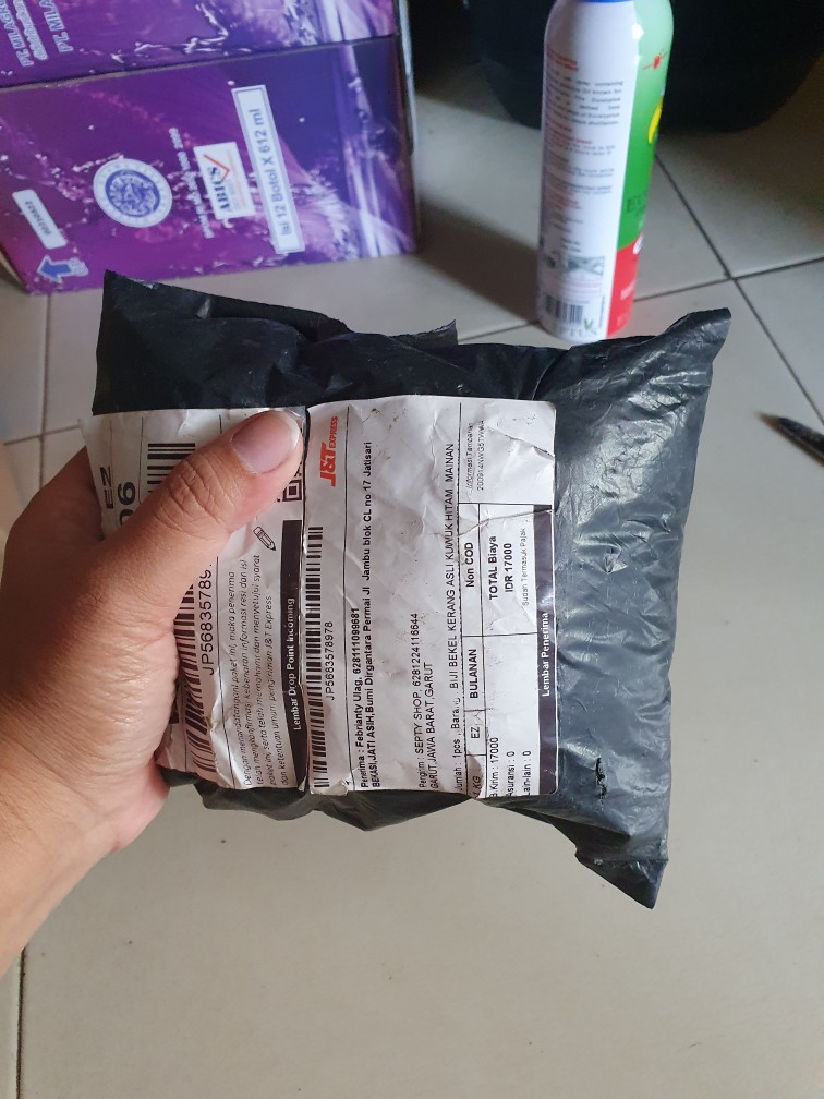 BIJI BEKEL KERANG ASLI KUWUK HITAM MAINAN  ANAK  PEREMPUAN  