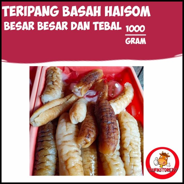 Teripang Basah Haisom 500Gr Besar Besar