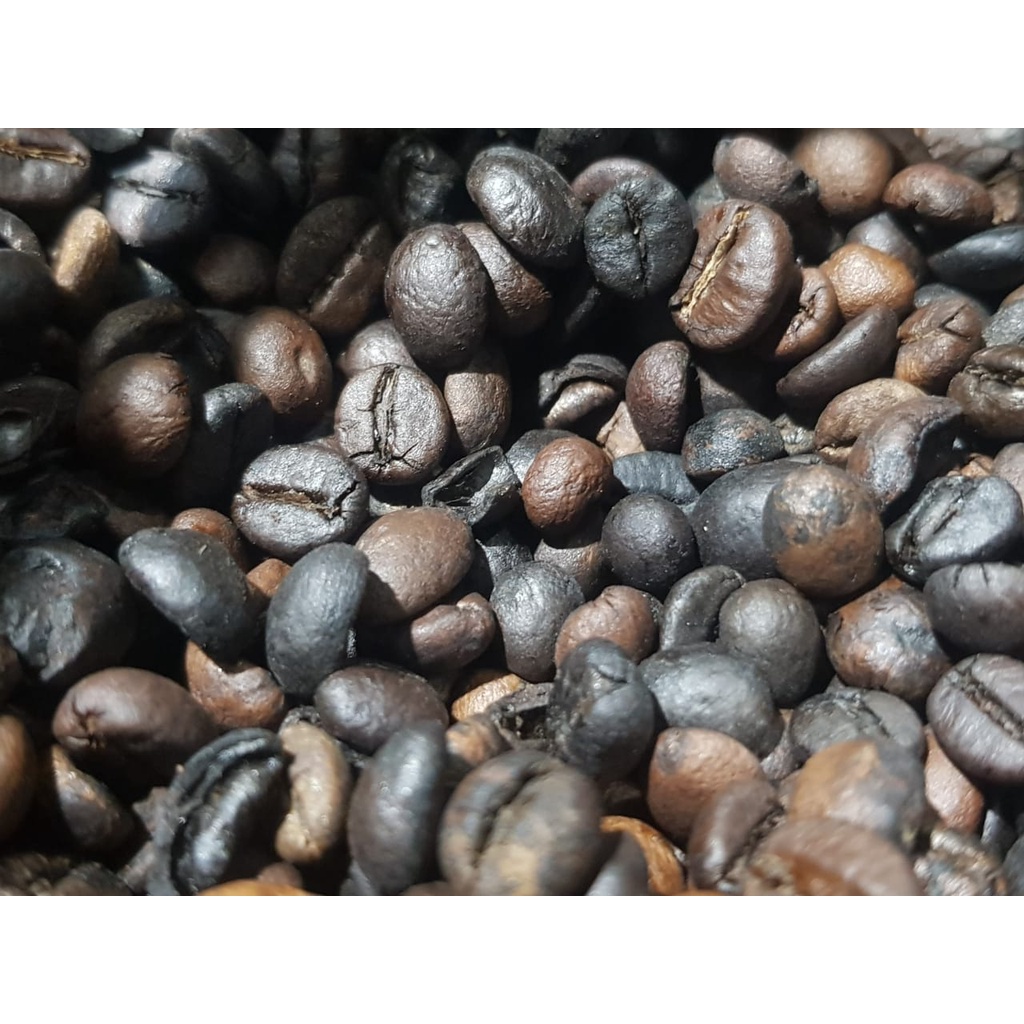 

Biji Kopi Sisi Manusiawi Robusta Series