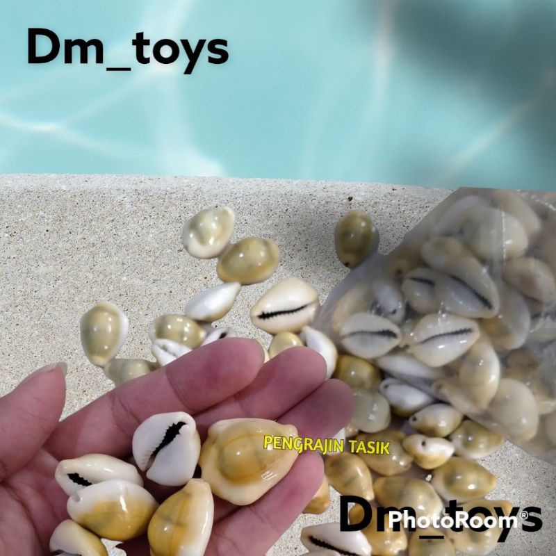 kewuk gajih  / kwuk gajih / kewuk kerang laut / kewuk kuning gajih / kewuk congklak isi 100 gram