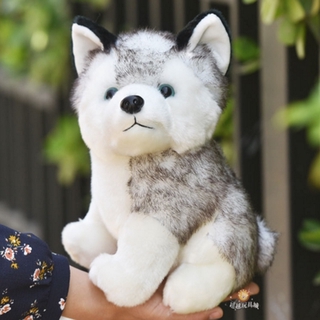 siberian husky and children