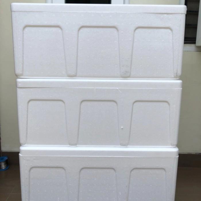 

Art Paper Styrofoam Box Ag 75 Ikan