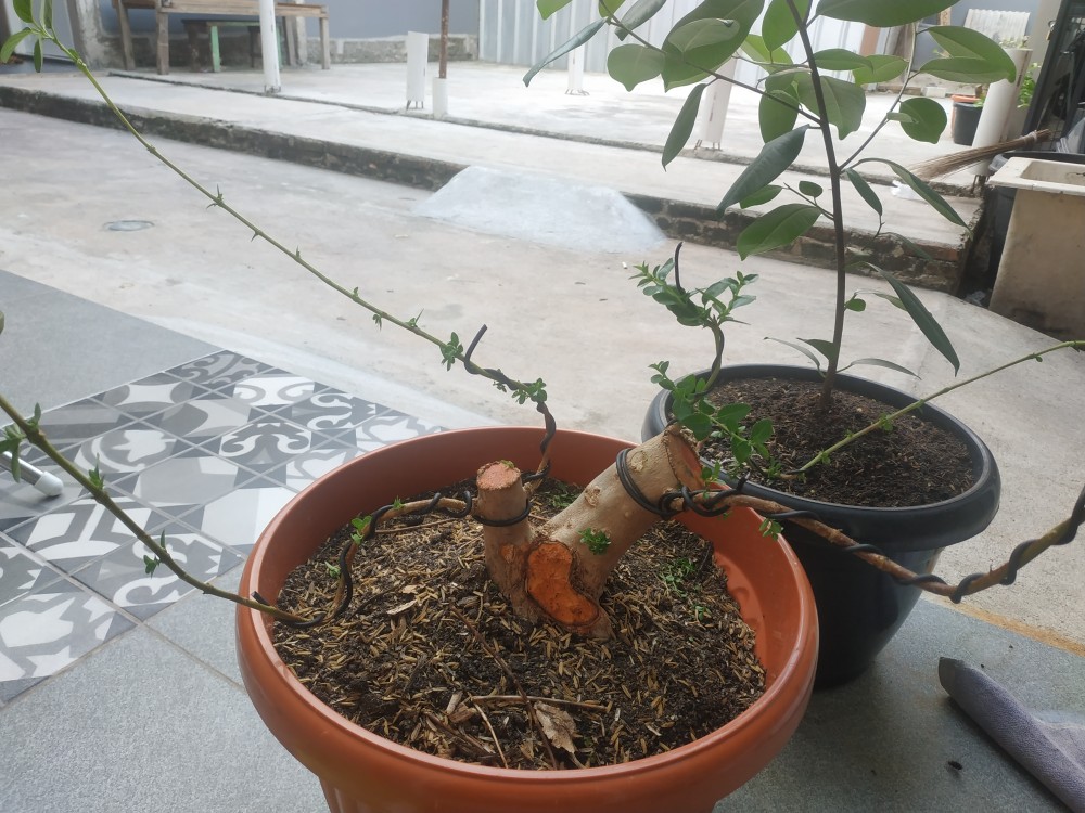 Kawat Bonsai Hitam 3mm Harga 1 Meter