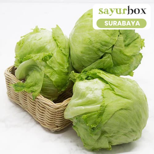 

Sayurbox Selada Iceberg Conventional 1 pcs - JKT (Sayurbox) - SURABAYA