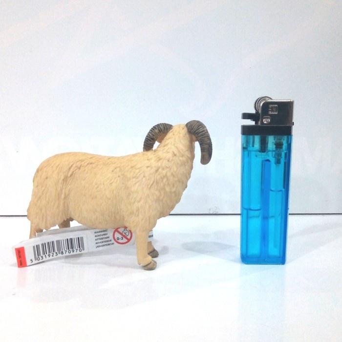 Hot Sale Mojo Sheep Ram / Binatang Domba Jantan Termurah