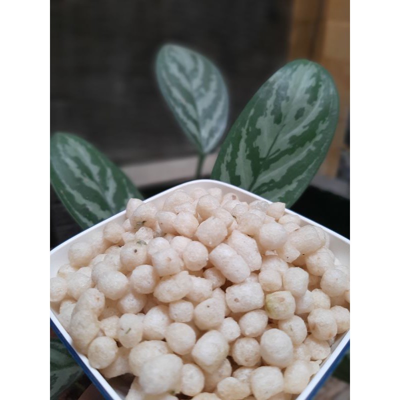

pilus kletuk asli tegal500gr