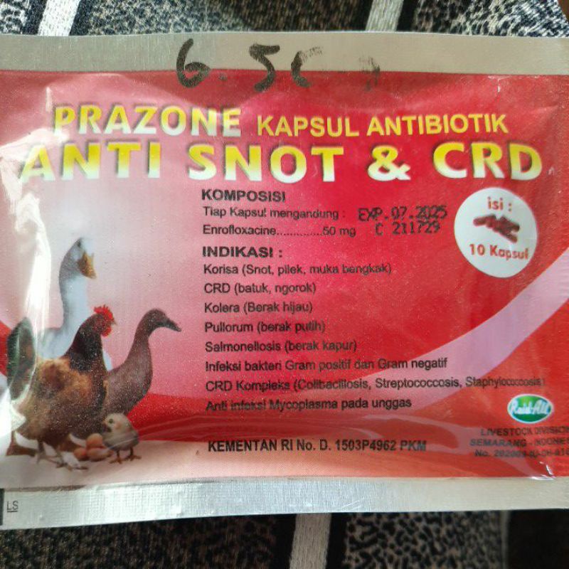 Prazone kapsul antibiotik