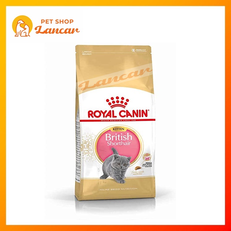 PROMO Royal Canin Kitten British Shorthair 2Kg