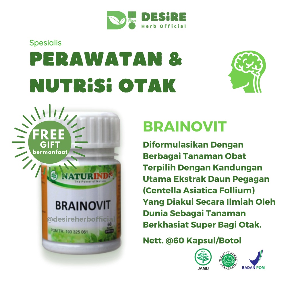 Nutrisi Vitamin Otak Pertumbuhan Kecerdasan Daya Ingat Anak Anak Remaja Dewasa Kesehatan Otak Mening