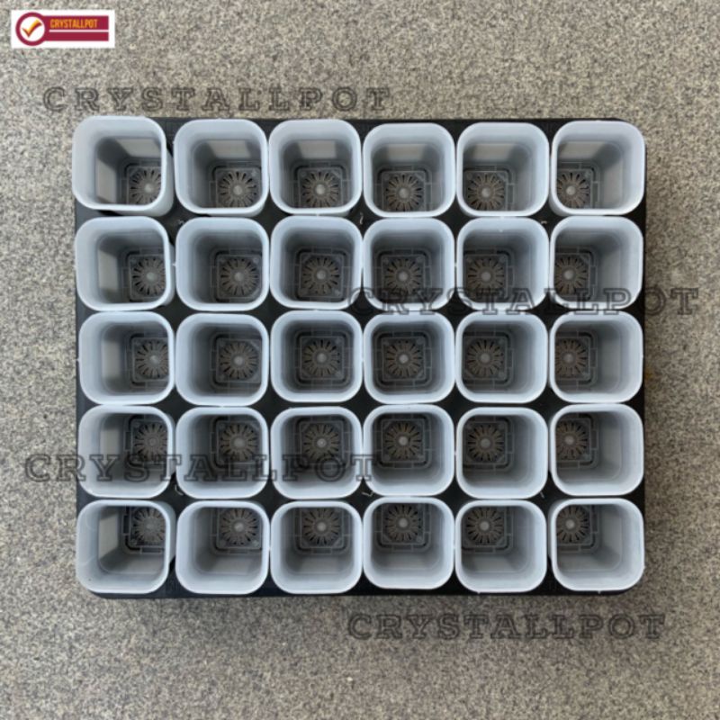 1 SET TRAY LUBANG 30 + POT NKT KOTAK 5CM BENING TRANSPARAN 30 PCS | TRAY SEMAI BIBIT