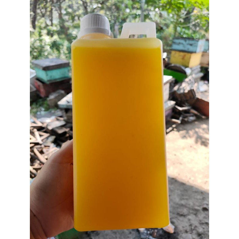 

Madu kaliandra