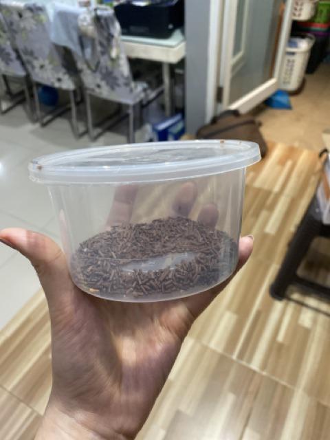 Thinwall 450 Ml Round + Tutup Merek Fim Harga 1 Roll Isi 25 Pcs