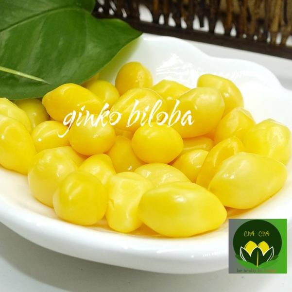

Terkini FJ7TR Ginko biloba / ginko nut / pe kea / kupas fresh W95 Model Terkini