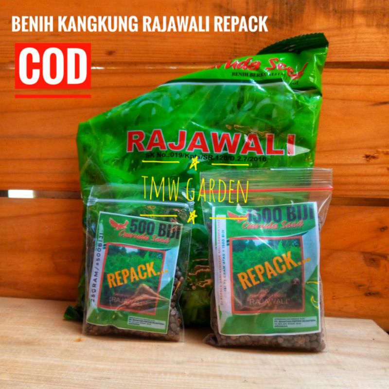 BENIH KANGKUNG RAJAWALI