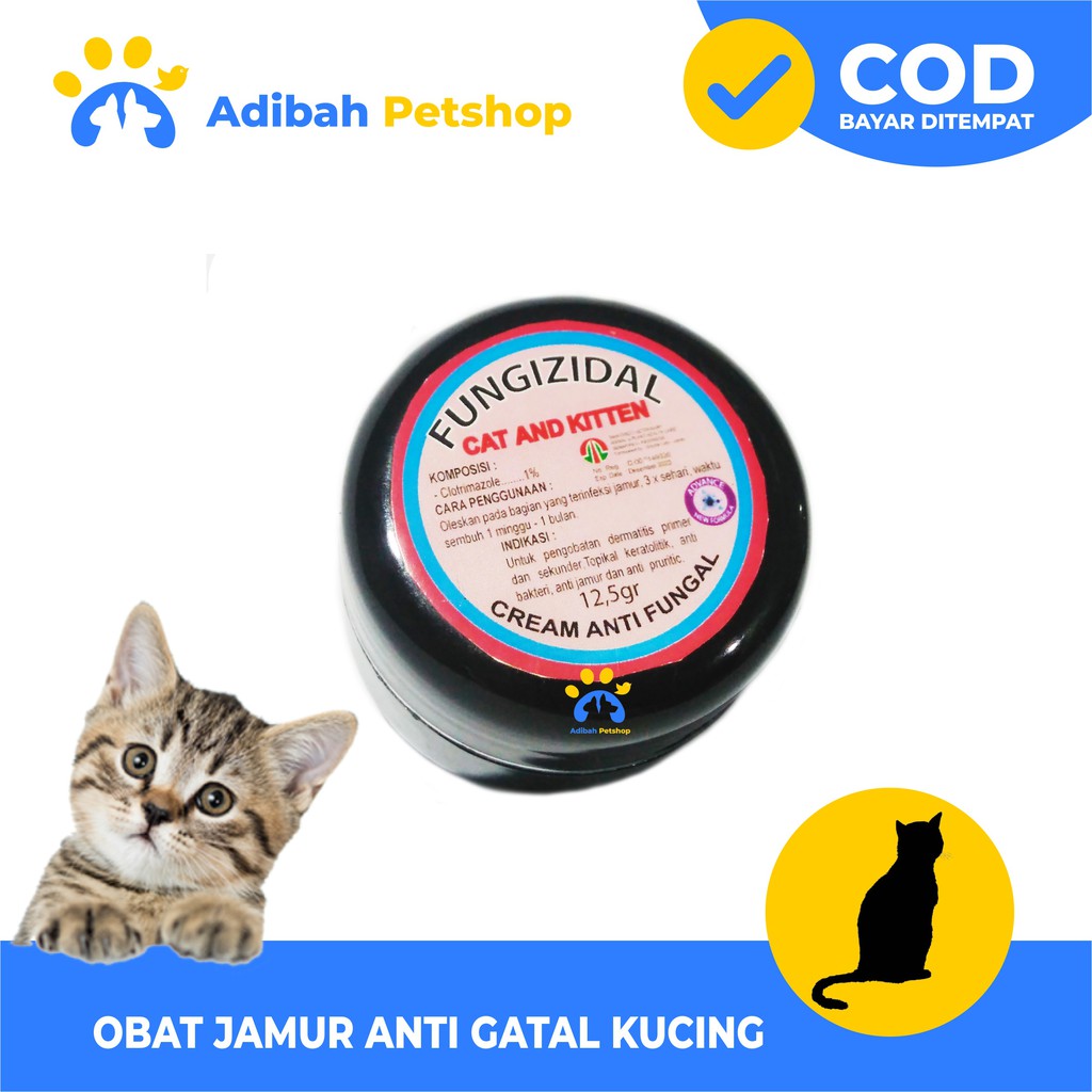 OBAT GATAL KARENA JAMUR KUCING FUNGIZIDAL SALEP AMPUH