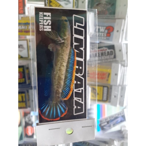 Stiker limbata,Sticker iwak galak stiker iwak galak  sticker aquarium stiker aquarium sticker predator stiker predator