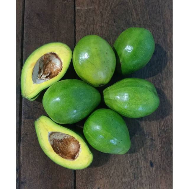 

BUAH ALPUKAT MENTEGA SUPER BERGARANSI / AVOCADO ASLI MURAH