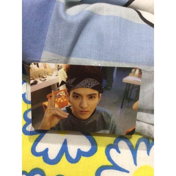 KRIS WU EXO MAMA GROWL XOXO OFFICIAL PHOTOCARD WU YIFAN