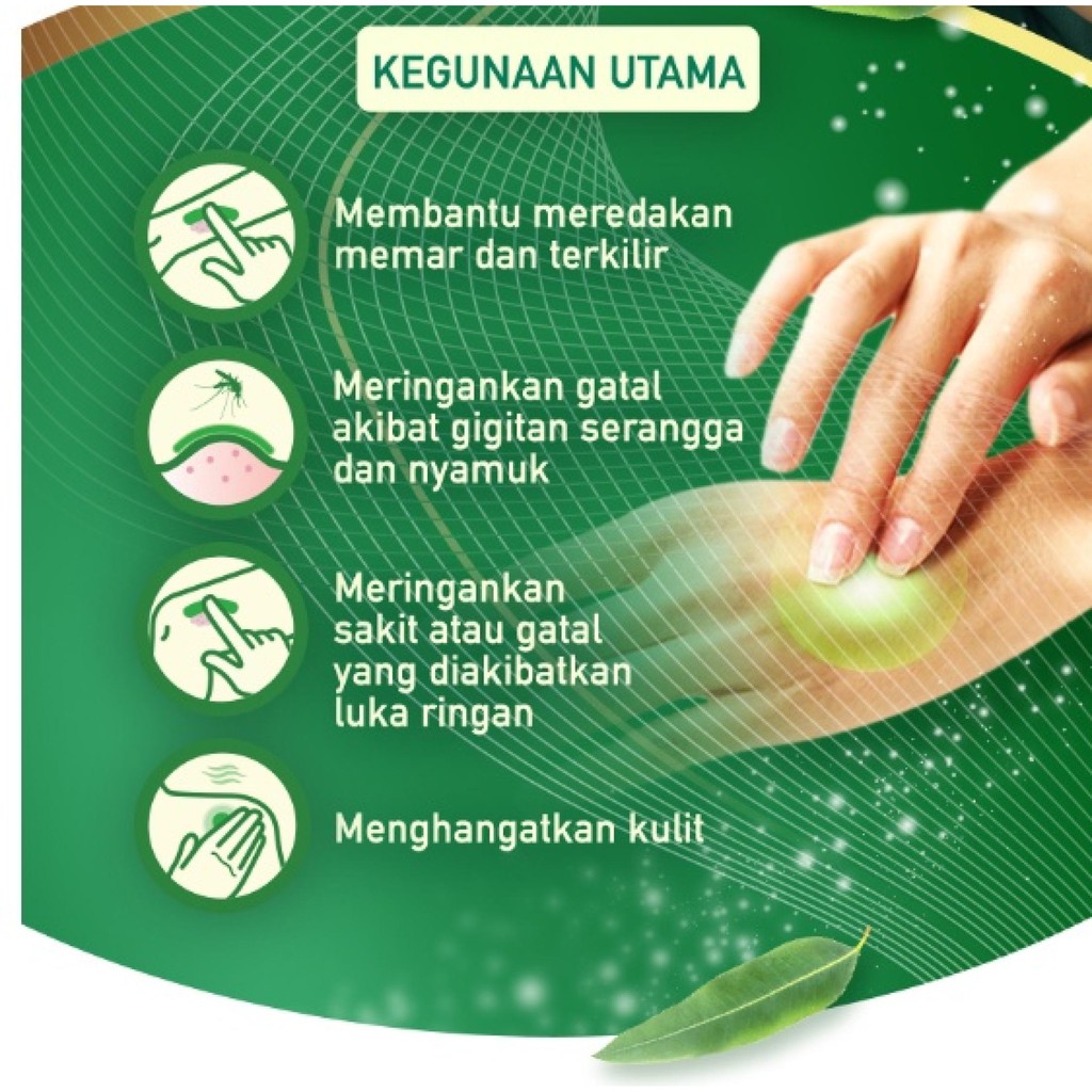 [100% Asli] Zambuk Salep Obat Memar Gatal Gigitan Seranga Bayi Original Asli 28 gr