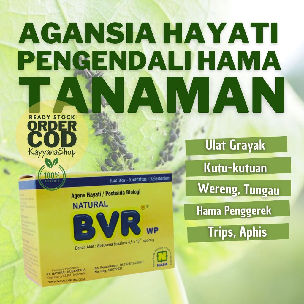Pembasmi Hama BVR Pengendali Hama Tanaman Serangga Kutu Wereng NASA / Pestisida Organik Nabati / Oba
