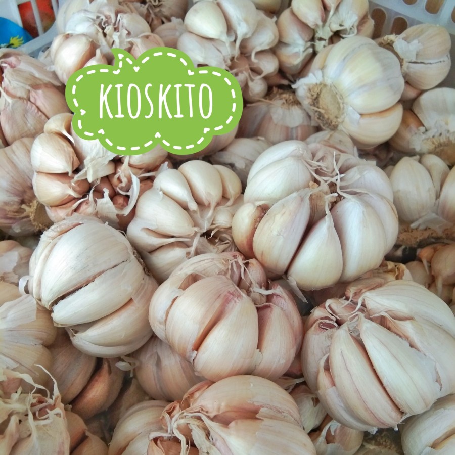 

Bawang Putih Biasa - 1/4 kg