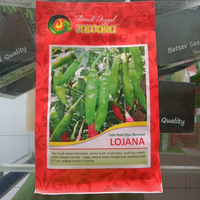 Biji Benih Bibit Cabe Rawit Hijau 5 gr LOJANA