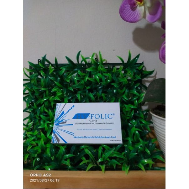 Hy Folic