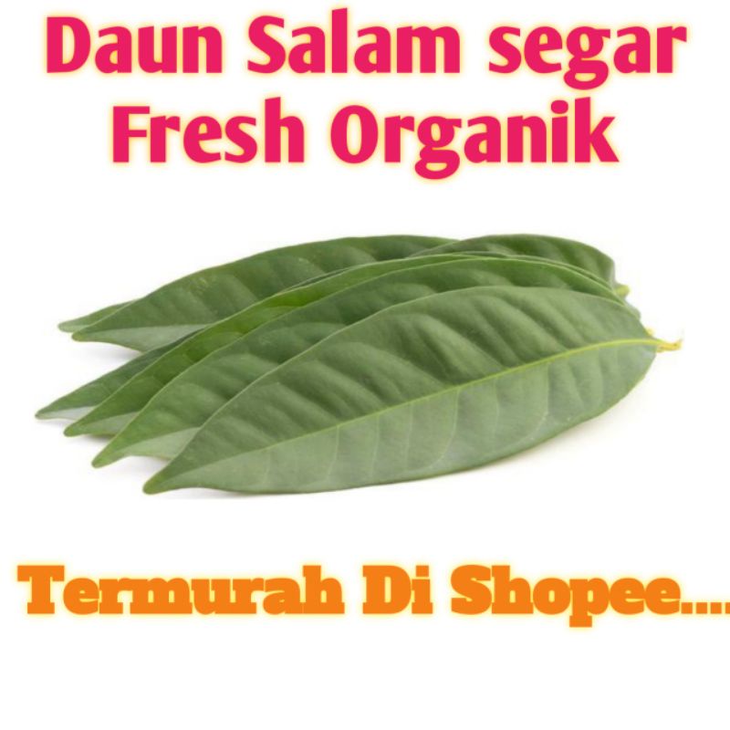 

DAUN SALAM FRESH ORGANIK PER LEMBAR