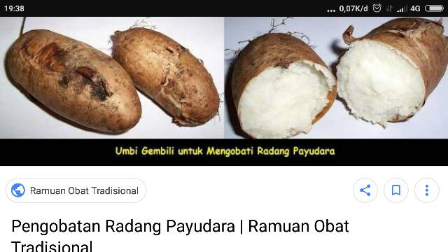 Ubi Gembili Atau Ubi Ubian Makanan Alami Pedesaan Shopee Indonesia