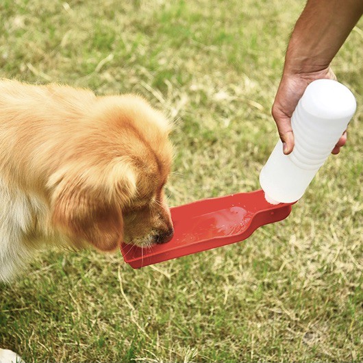 BOTOL MINUM ANJING DAN KUCING BOTOL AIR ANJING DOG DRINKING BOTTLE