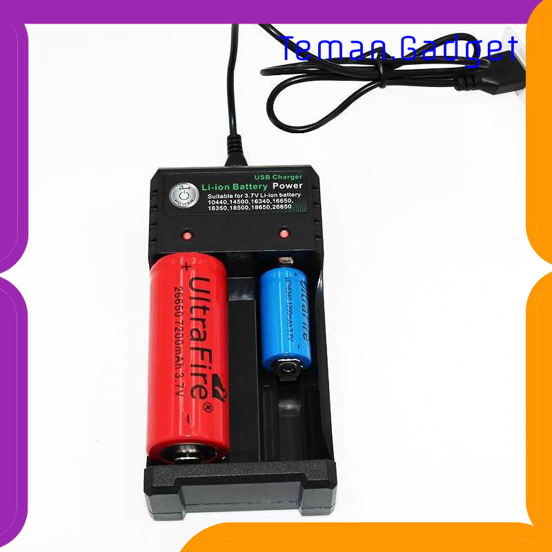 TG-IE225 GTF CHARGER BATERAI 18650 2 SLOT PLUG MICRO USB - GF0012