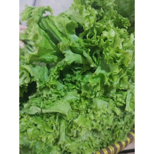 

Salada / Salada Bokor 250gr