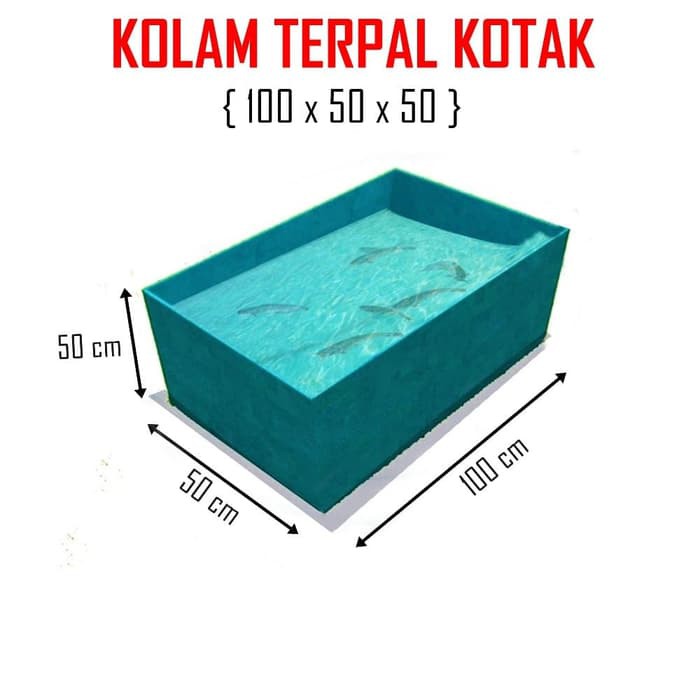 Kolam Terpal 100 x 50 x 50