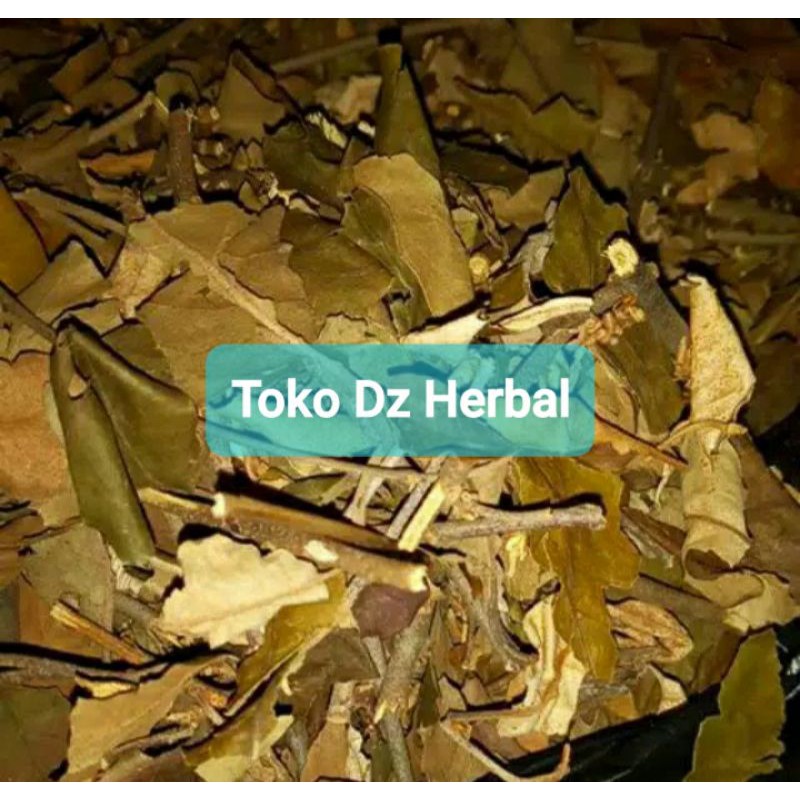 

Hemat 150 gram benalu kopi kering daun benalu kopi-az