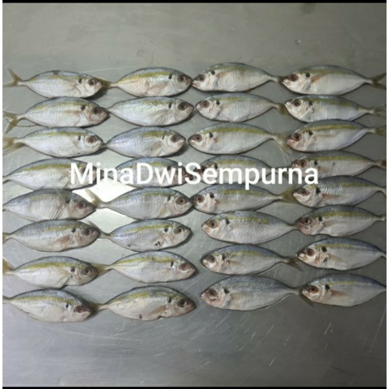 

Ikan Selar @500gr