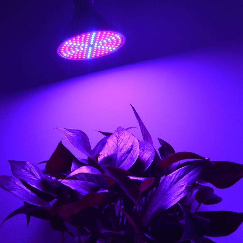 LED Plant Grow Lights / Plant Lighting Full Spectrum Fill Light