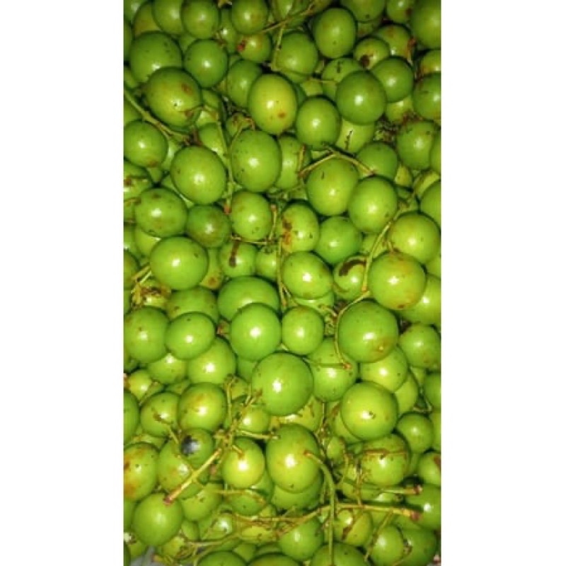 

Ramania / Gandaria 1kg